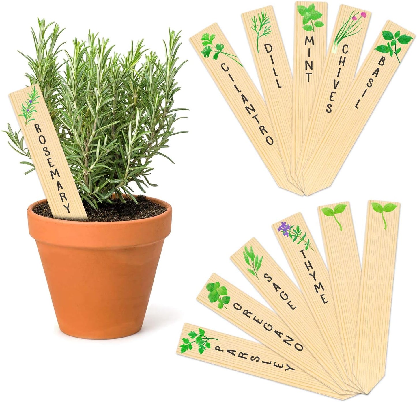 Huray Rayho 12PCS Wooden Indoor Herb Plant Labels Signs - Assorted Indoor Garden Stakes - Re-Usable Plant Tags-VerdiqueGarden
