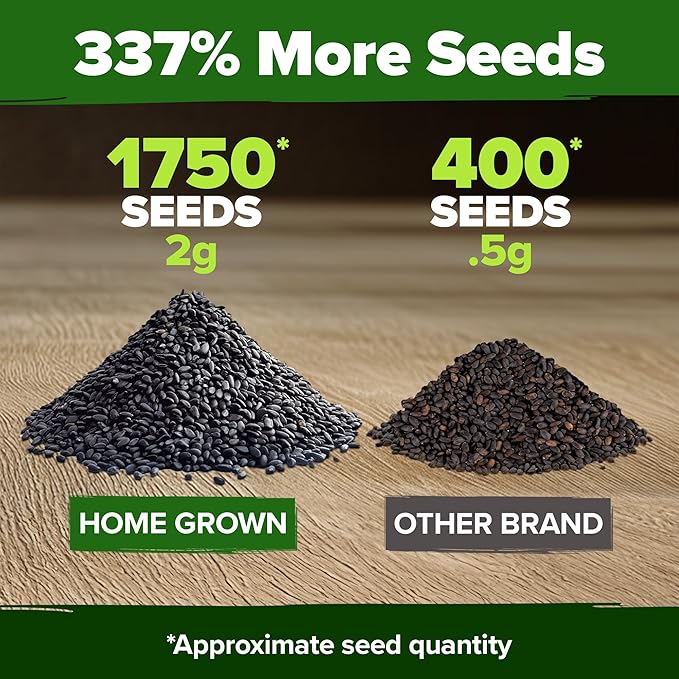 HOME GROWN 𝗨𝗦𝗔 𝗣𝗥𝗘𝗠𝗜𝗨𝗠 Genovese Basil Seeds Pack 1,750+ High Germination 𝗡𝗢𝗡-𝗚𝗠𝗢 Heirloom Seeds (Ocimum basilicum) Herb Seeds for Planting Indoor & Outdoor Gardening, for Culinary Use-VerdiqueGarden