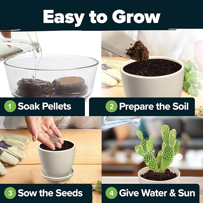 HOME GROWN Succulent & Cactus Seed Kit for Planting – [Enthusiasts Favorites] Premium Cactus & Succulent Starter Kit: 4 Planters, Drip Trays, Markers, Seeds Mix, Soil - DIY Gift Kits-VerdiqueGarden