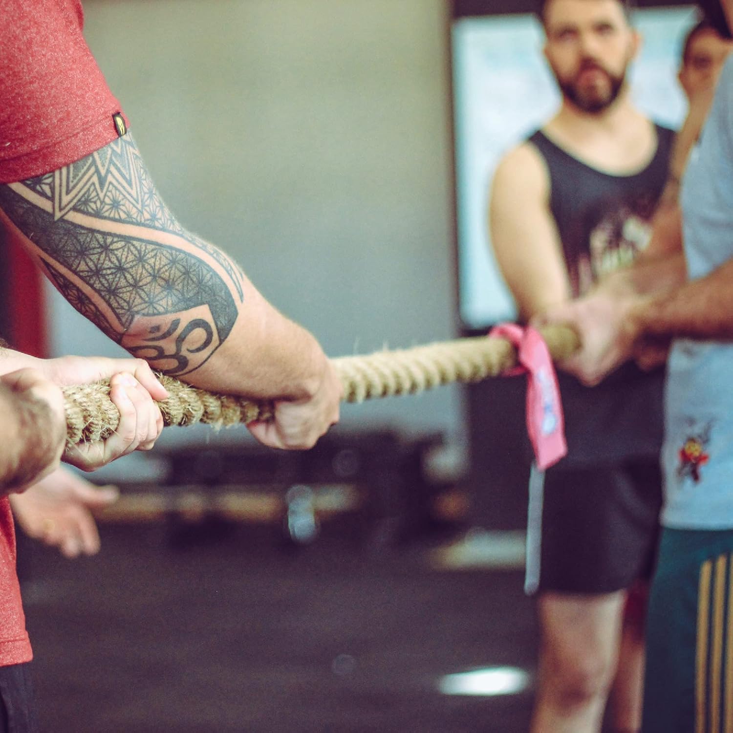 2 Inch x 50 Ft Natural Jute Rope, IMROPE Twisted Jute Rope 4 Strands for Arts Crafts, Swing, Garden, Home Decorating, Hammock, Tug of War-VerdiqueGarden