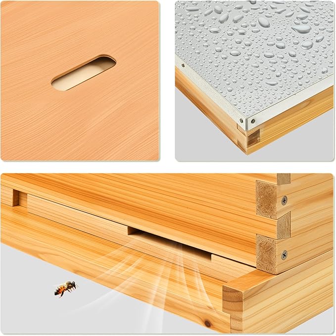 CREWORKS 10 Frame Bee Hive, 3 Layers Beeswax Coated Beehive Starter Kit with Frames & Foundations, Langstroth Bees Hives Box with Transparent Acrylic (Window Medium Box & 2 Deep Boxes)-VerdiqueGarden
