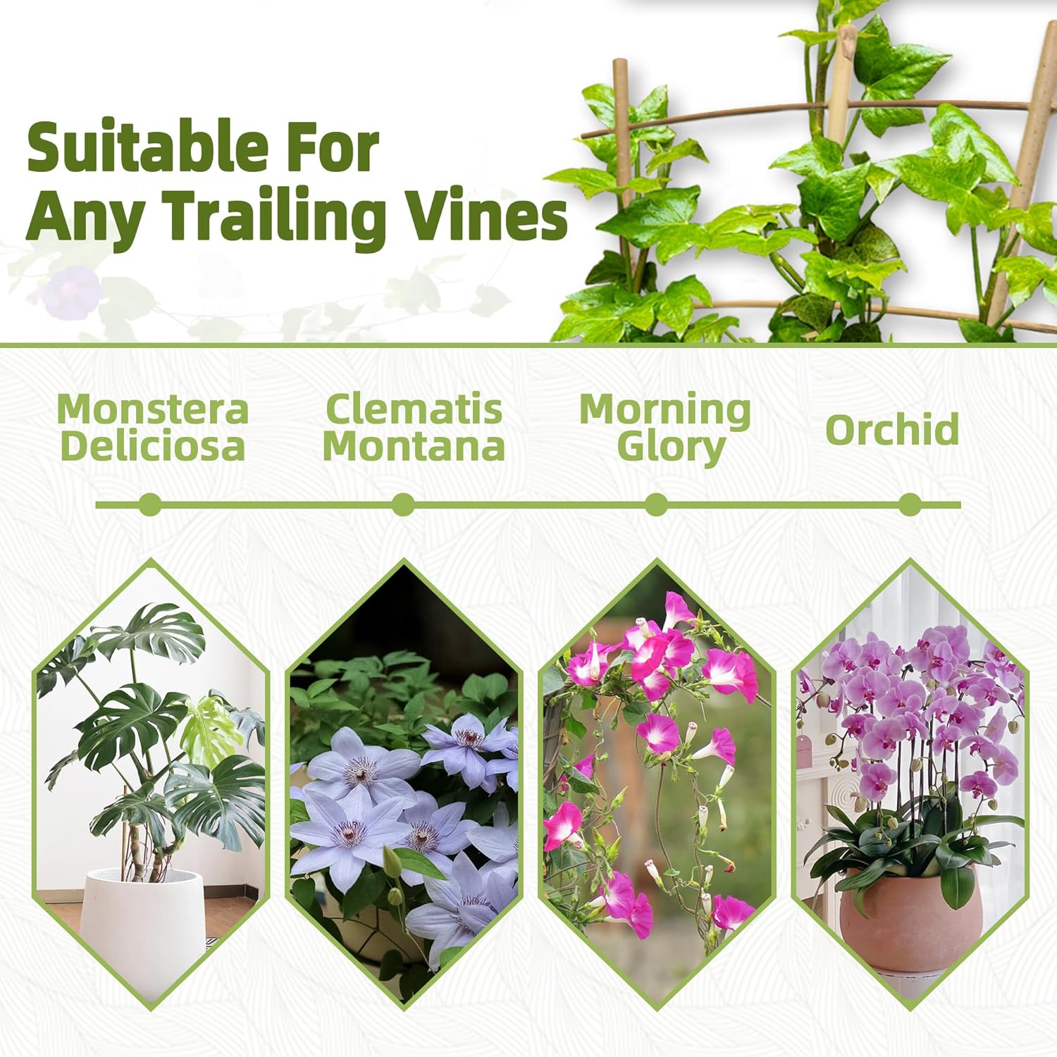 20 Pack 16" Bamboo Trellis for Climbing Plants-Natural Garden Ladder Fan -Shaped Plants Support Trellis for Potted Plant Decor in Door-VerdiqueGarden