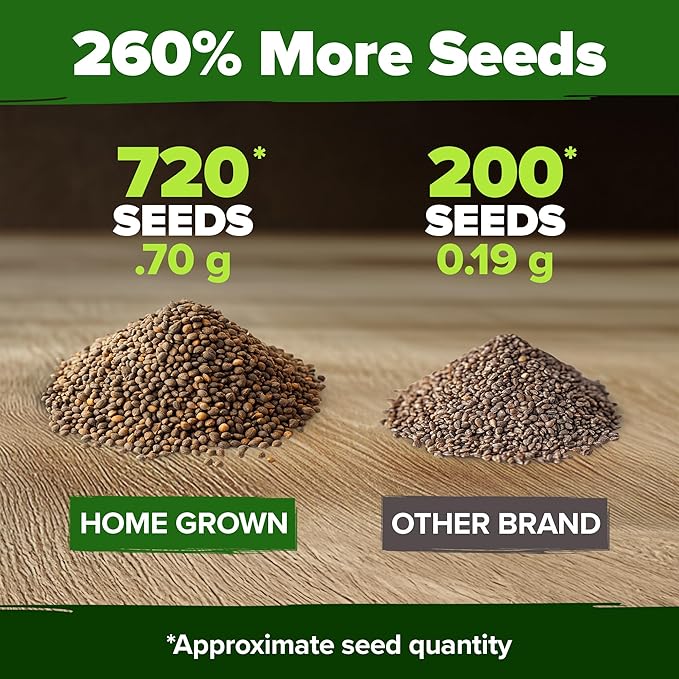 HOME GROWN Culantro Seeds - 720+ 𝗡𝗢𝗡-𝗚𝗠𝗢, 𝗨𝗦𝗔-𝗦𝗢𝗨𝗥𝗖𝗘𝗗 Heirloom Herb Seeds for Planting, Slow-Bolting, Flavorful Cilantro Alternative, Great for Outdoor Herb Gardens (Eryngium foetidum)-VerdiqueGarden