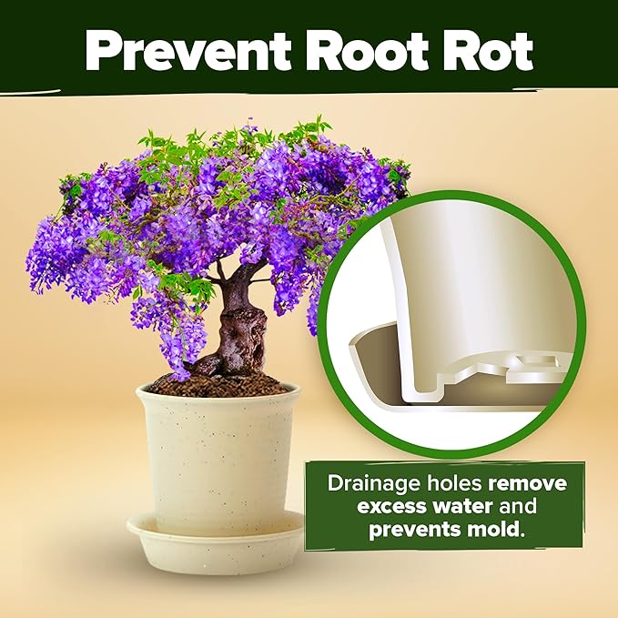 HOME GROWN Bonsai Tree Kit, Grow Your Own: Premium 4 Bonsai Trees Starter Kit | Unique Japanese Gardening Gift for Moms, Women, Men, Beginners & Gardeners | Creative Crafts for Adults BK1-2nd-MF-VerdiqueGarden