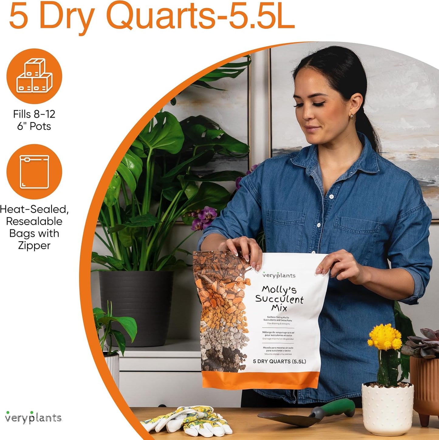 Molly's Succulent Mix - Premium Gritty Soilless Potting Mix for Succulents, Cactus and Bonsai - Contains Akadama, Hyuga, Bark Fines, Pumice, Lava Rock, Mycorrhizae 5 Dry Quarts-VerdiqueGarden