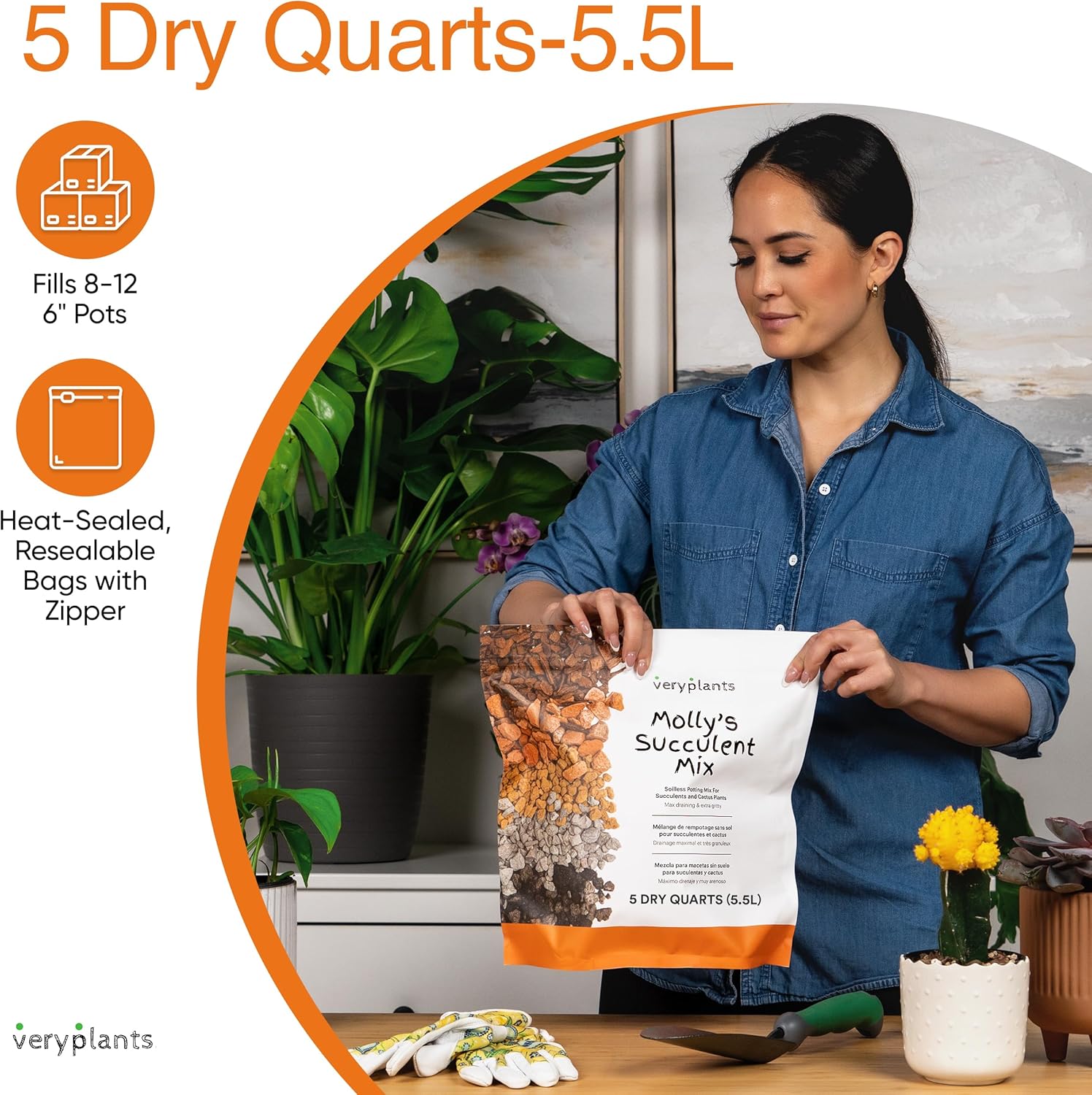 Molly's Succulent Mix - Premium Gritty Soilless Potting Mix for Succulents, Cactus and Bonsai - Contains Akadama, Hyuga, Bark Fines, Pumice, Lava Rock, Mycorrhizae 3 Dry Quarts-VerdiqueGarden