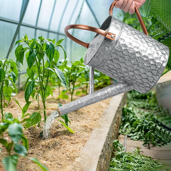 1 Gallon Metal Watering Can for Outdoor Indoor Plants, Galvanized Watering Can with Removable Spray Spout, Ideal for Garden Watering-VerdiqueGarden