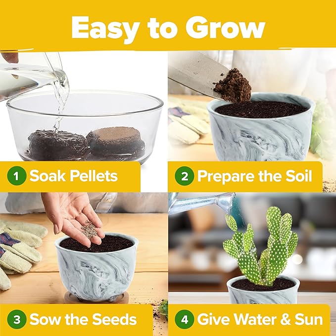 HOME GROWN Deluxe Succulent & Cactus Seed Grow Kit - Indoor Cactus & Succulent Kit w/Cactus Seeds, Potting Soil, Ceramic Succulent Pots, Water Drip Trays, Grow Guide for Plant Lovers-VerdiqueGarden