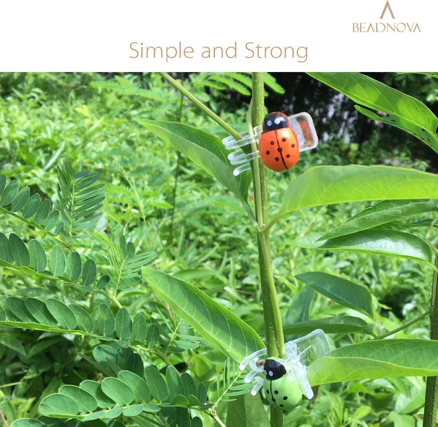 BEADNOVA Orchid Clips 30Pcs Ladybug Plant Clips Orchid Support Clips Vine Clips Plant Clips for Support Flower Orchid Vine (Mix Color, 30PCS)-VerdiqueGarden