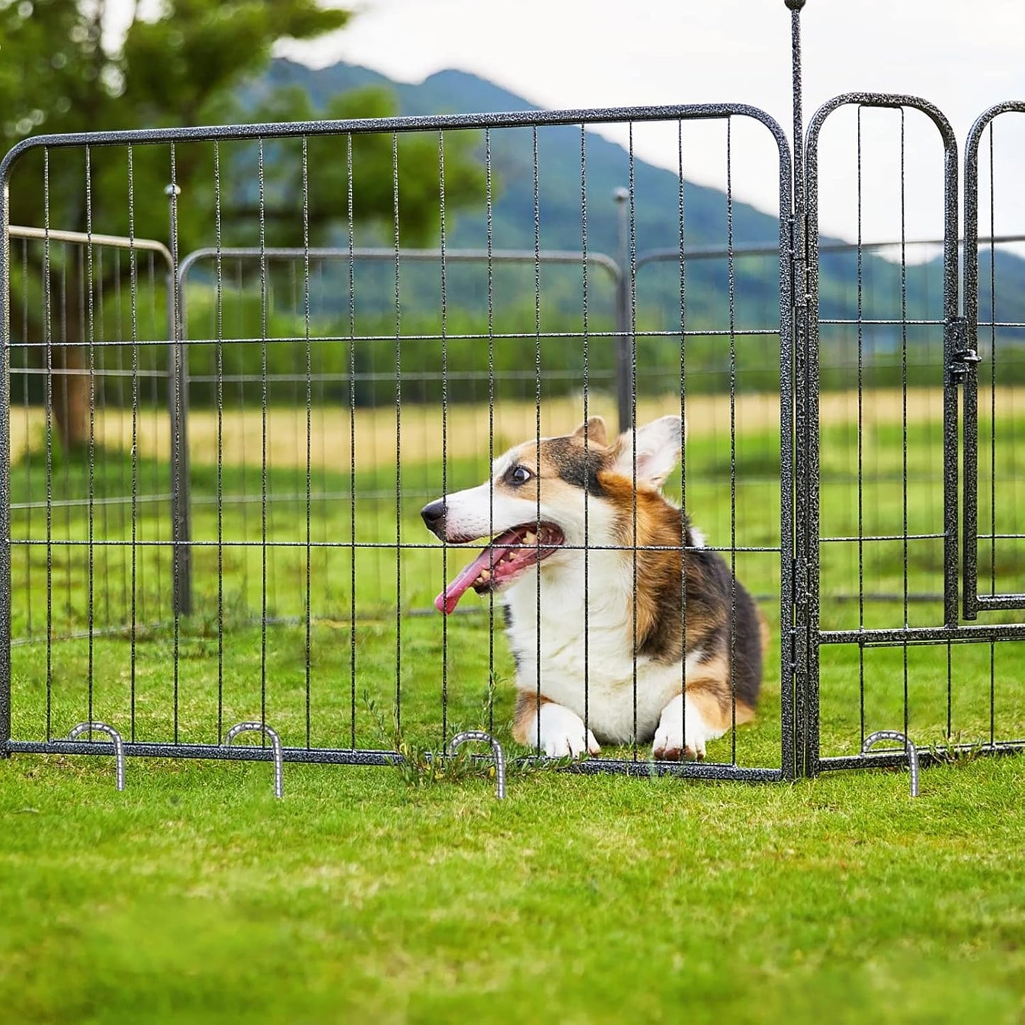 Ground Rebar Stakes 12 Inch Galvanized,J Hook Rebar Staples Heavy Duty 100 Pack Anti-Rust Yard Stakes for Plants Landscape Fabric Artificial Turf Fencing for Yard Shrubs-VerdiqueGarden