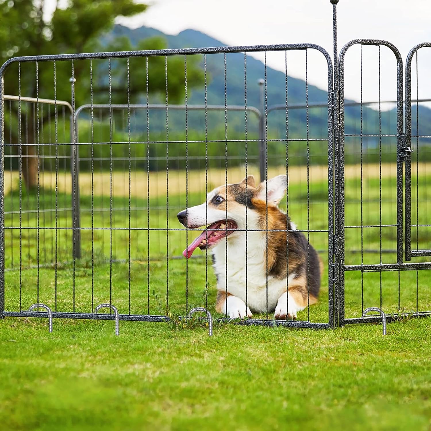 Rebar Stakes 12 Inch Galvanized, J Hook Rebar Stakes 6 Pack Ground Anchors for Tent Heavy Duty for Plants Anti-Rust Landscape Fabric Artificial Turf-VerdiqueGarden