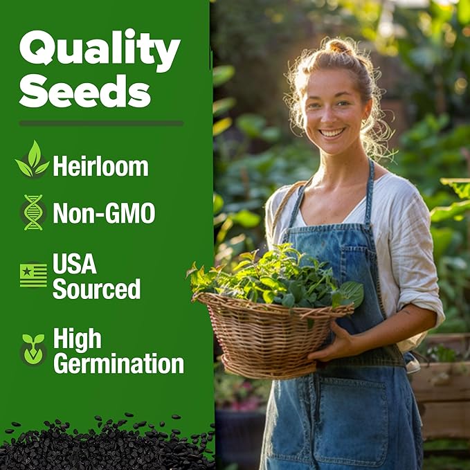 HOME GROWN 𝗨𝗦𝗔 𝗣𝗥𝗘𝗠𝗜𝗨𝗠 Lemon Balm Seed Pack - 403 Non-GMO USA Heirloom Herbal Tea Seeds - Bulk Lemon Balm Seeds for Planting Gardens Indoors or Outdoors - Herb Seeds (Melissa officinalis)-VerdiqueGarden