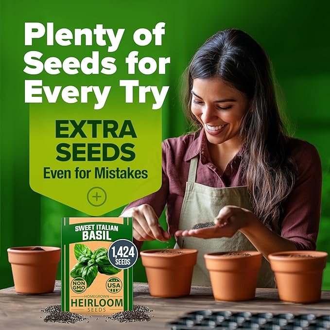 HOME GROWN 𝗨𝗦𝗔 𝗣𝗥𝗘𝗠𝗜𝗨𝗠 Italian Basil Seeds Bulk Pack 1,424 Sweet Large Leaf Basil Seeds for Planting 𝗡𝗢𝗡-𝗚𝗠𝗢 and Heirloom Herb Seeds for Planting Indoors or Outdoors (Ocimum basilicum)-VerdiqueGarden