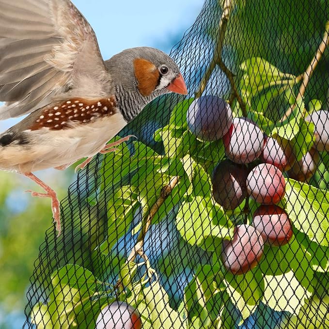 PACETAP Pond Netting Kit 20 x 30 Ft,Pond Netting for Leaves,Koi Pond Cover,Heavy Duty Koi Pond Netting,Pool Protective Cover Netting Protecting Koi Fish from Birds, Cats -Stakes Included-VerdiqueGarden