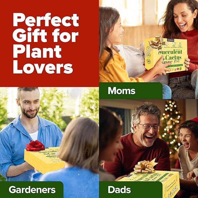 HOME GROWN Deluxe Succulent & Cactus Seed Grow Kit - Complete Indoor Plant Kit with Cactus Seeds, Potting Soil, Ceramic Pots, Drip Trays, and Grow Guide for Plant Enthusiasts-VerdiqueGarden
