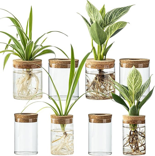 Glass Plant Propagation Stations for Plants – Set of 4(4 Large & 4 Small) Hydroponic Vases for Plant Cuttings,Flower Arrangements, Home & Office Decor–Desktop Vases for Living Room, Bedroom (8)-VerdiqueGarden
