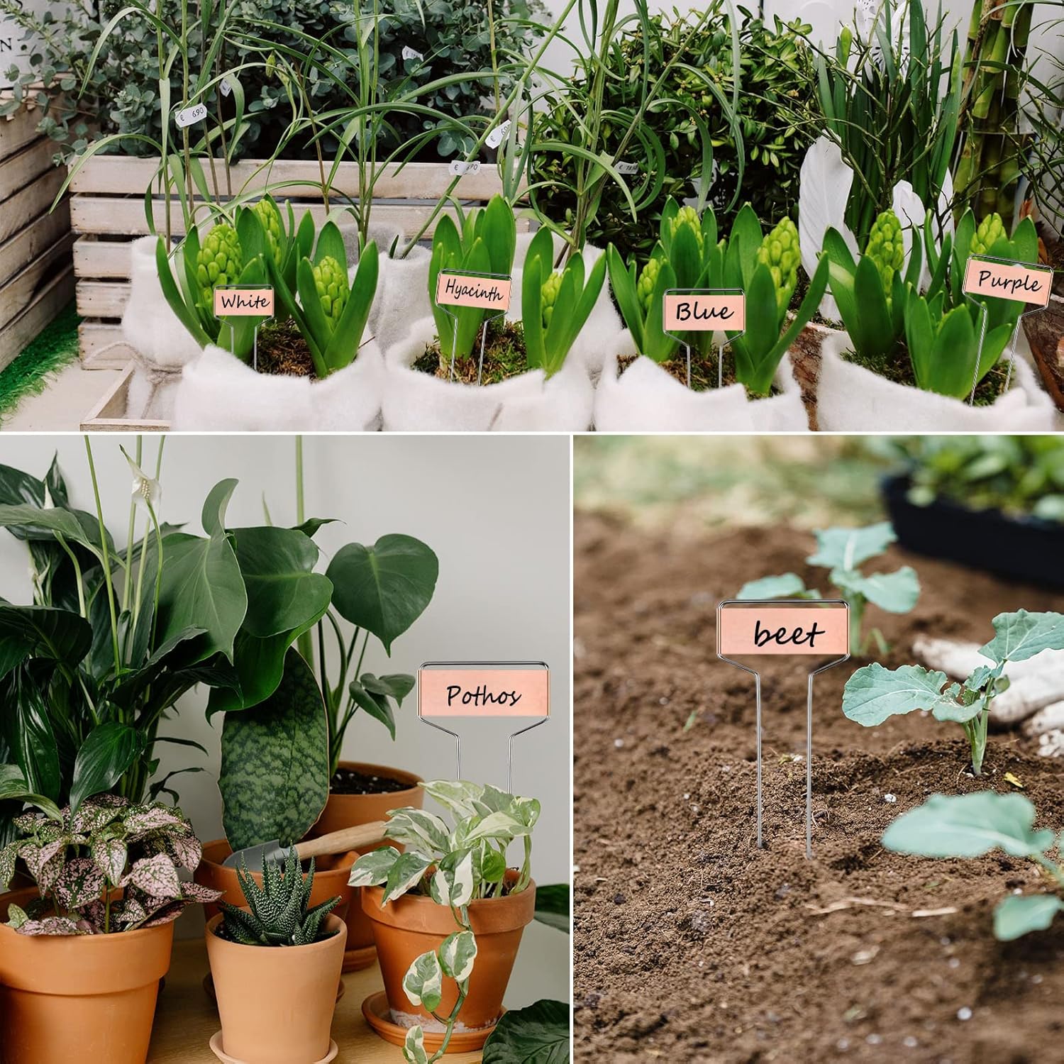 30pcs Plant Labels Copper Plant Markers for Outdoor Plants 6inch Plant Labels for Seedlings Outdoor Garden Waterproof Plant Tags and Labels for Flower Vegetable Herbs Greenhouse (6 in, Copper)-VerdiqueGarden