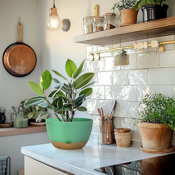 10 Inch Pots for Indoor Plants, Large Self Watering Planters with Drainage and Saucers, Plastic Outdoor Flower Pot, Set of 2, Green-VerdiqueGarden