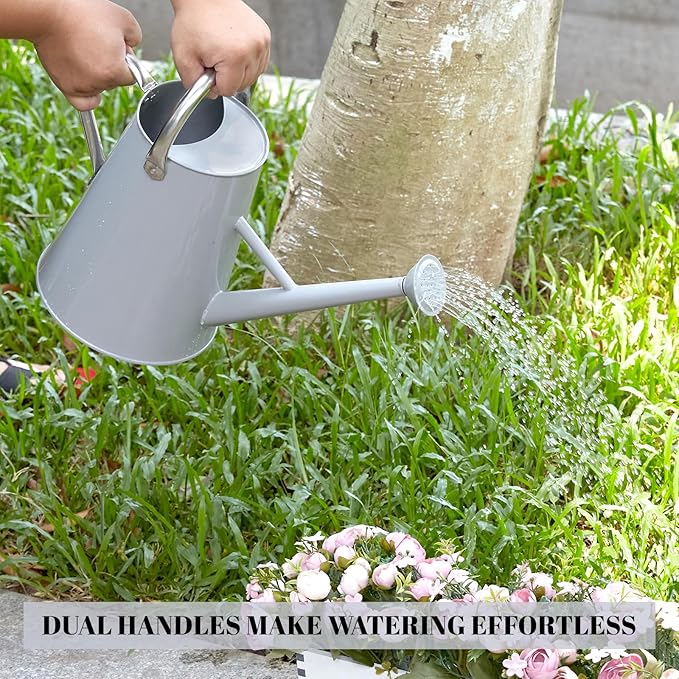 1.5 Gallon Watering Can for Outdoor Plants,Large Metal Plant Watering Pot with Removable Spout,Flower Garden Water Can Watering Pot,Galvanized Steel Watering Can with Stainless Steel Handles，Grey-VerdiqueGarden