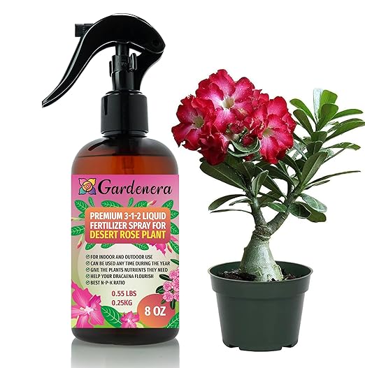 Proffesional Desert Rose Spray Fertilizer Mist for Home Gardening | 3-1-2 Gentle Blend Mist for Healthy Leaves & Growth | Essential Nutrients for Desert Rose - 8oz-VerdiqueGarden