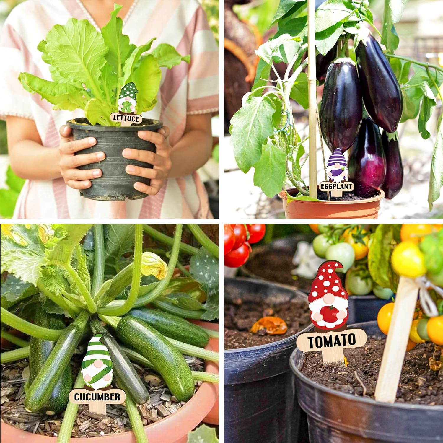 Huray Rayho Gnome Wooden Plant Markers for Vegetable Flowers Garden Potted Plants Tags 15-Pack Funny Wood Plant Labels Garden Stakes Patio Decorations Funny Gifts for Plant Lady Woman Novelty Gift-VerdiqueGarden