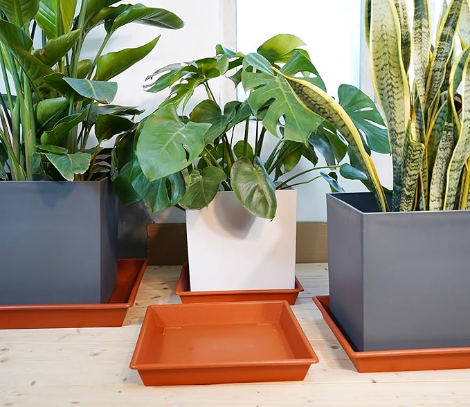 Square Plant Saucer 18 Inch 2 Pack, Large Plant Trays for Pots Heavy Duty Plastic Plant Saucers for Indoors Outdoors, Flower Pot Plant Drip Trays No Holes Terracotta Plant Lover Gardening Gifts-VerdiqueGarden