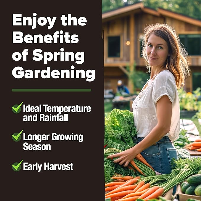 HOME GROWN 6000 Vegetable Seeds for Planting: 12 Spring Varieties of Garden Vegetables in Seed Packets, Garden Seeds for Garden Plants or Hydroponic Seeds - Heirloom Seeds - Non GMO-VerdiqueGarden