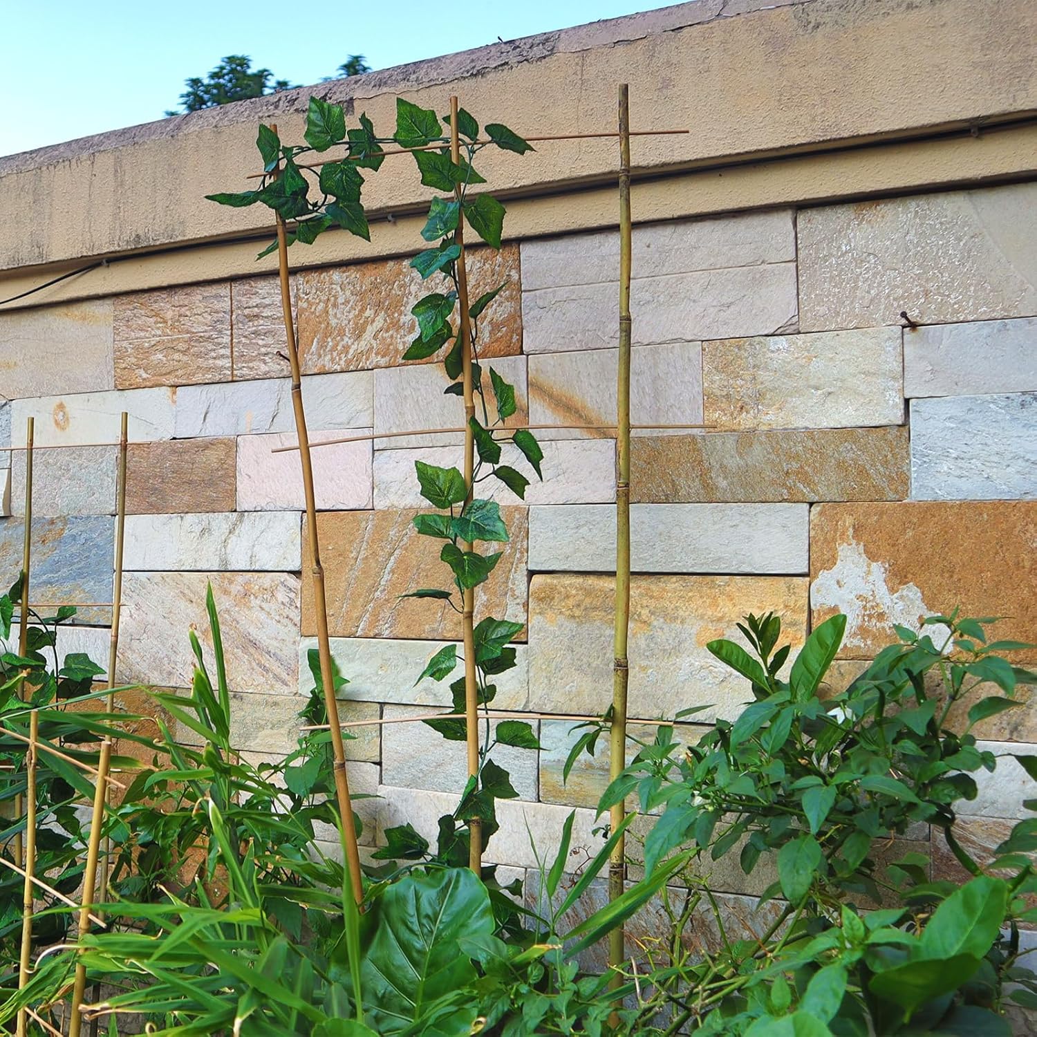 10 Pack 4ft Bamboo Trellis for Climbing Plants-Natural Garden Ladder Trellis, Fan -Shaped Support Trellis for Potted Plant Decor in Door-VerdiqueGarden