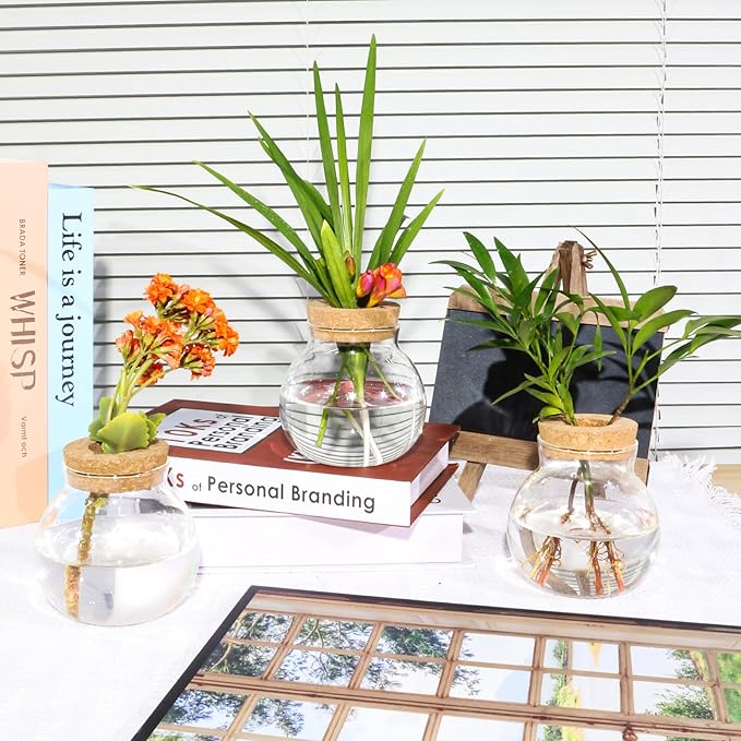 Plant Propagation Station,Hydroponic Terrarium Vase,Desktop Glass Planter Station,for Houses,Garden Decorations,ropagating Hydroponic Plants,Centerpiece Office,Home Garden Decor (6)-VerdiqueGarden
