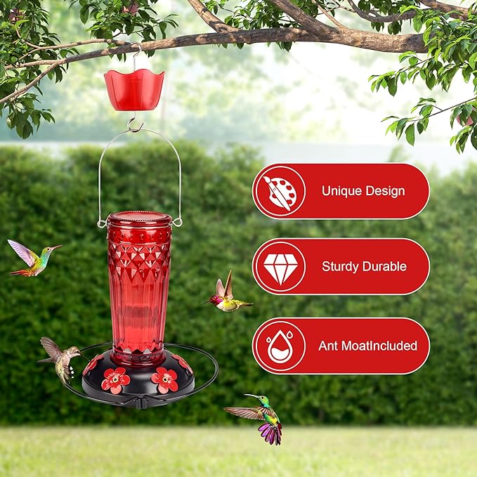 Hummingbird Feeder-16 Ounces，6 Feeding Ports Glass Hummingbird feeders for Outdoors,Wide Mouth for Easy Filling/Cleaning，Hanging for Garden Backyard Decor, Includes Ant Moat (Red)-VerdiqueGarden