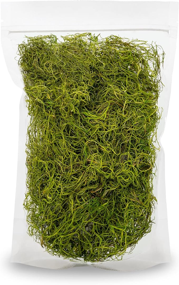 Premium Spanish Moss in Spring Green| Natural Preserved - Great Ground Cover - Filler for Potted Plants - by GARDENERA - 1 Quart Bag-VerdiqueGarden