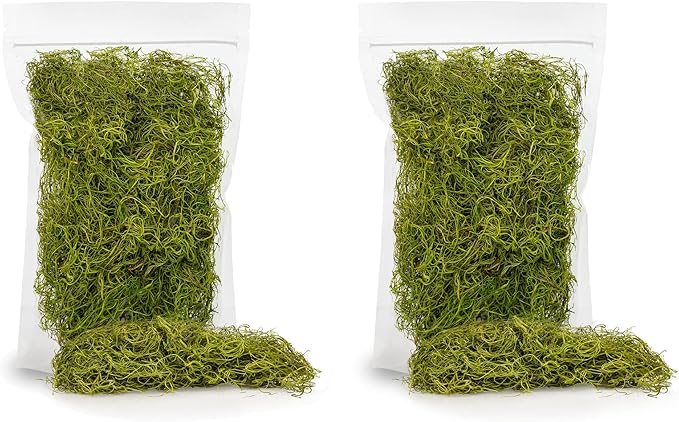 Premium Spanish Moss in Spring Green| Natural Preserved - 10 Quart - Great Ground Cover - Filler for Potted Plants - by GARDENERA (2 Bags of 5 Quart)-VerdiqueGarden