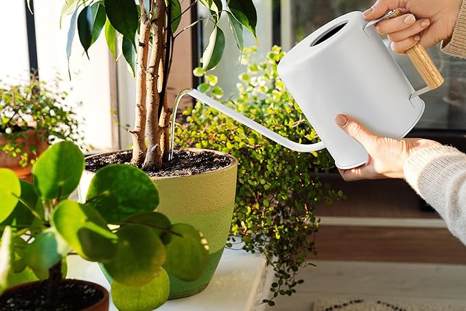 1.5 Liter Watering Can for Indoor Plants, House Plants, Flower Watering, Outdoor Plants - Small Metal Watering Can with Long Spout (White)-VerdiqueGarden