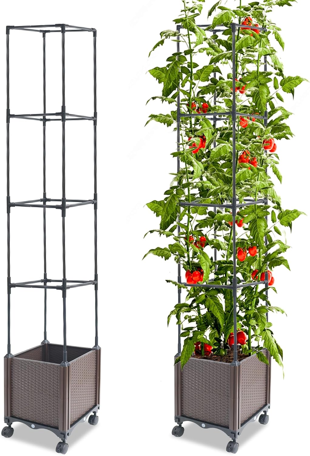 Raised Garden Bed Planter Box with Trellis, 62.2" Self-Watering Tomato Planters for Climbing Plants Vine Flowers Outdoor Patio, Tomatoes Cage with Trellis Wheels for Outdoor, 1Pack-VerdiqueGarden