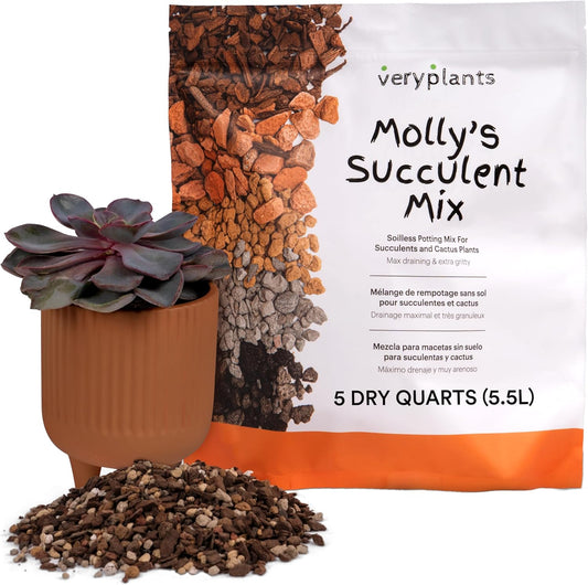 Molly's Succulent Mix - Premium Gritty Soilless Potting Mix for Succulents, Cactus and Bonsai - Contains Akadama, Hyuga, Bark Fines, Pumice, Lava Rock, Mycorrhizae 5 Dry Quarts-VerdiqueGarden