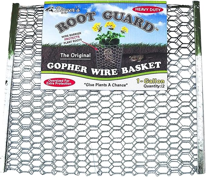 Digger’s 1-Gallon Heavy-Duty Wire Basket - Gopher Wire Basket for Perennials & Vegetables (12 Baskets)-VerdiqueGarden