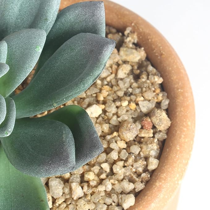 3 Pcs Artificial Succulent Plants Potted False Succulent Plants Potted Faux Potted Plant Family Office Bookshelf Decor-VerdiqueGarden