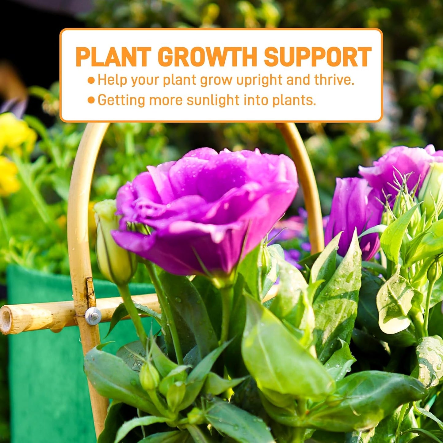 Avalution 10 Pack Bamboo U Trellis for Climbing Plants, 16 Inch Garden Ladder Trellis for Potted Plants Indoor, Ladder Small Plant Support Trellis for Houseplants Ivy Hoya Vine Monstera-VerdiqueGarden