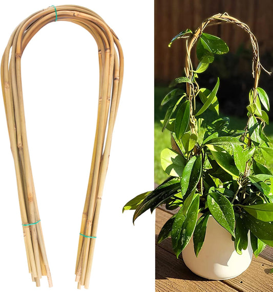 Avalution 16" Natural Bamboo Plants Trellis U-Hoop,Bamboo Gaeden Trellis U-Shape for Climbing Plant Support-20PCS-VerdiqueGarden