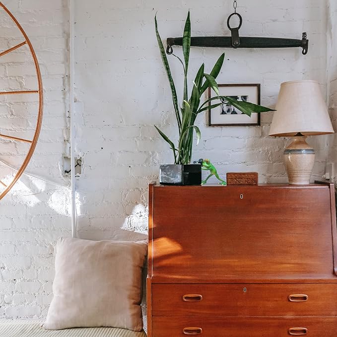 Outdoor Decor Garden Frogs Outdoor Decor Frog Gifts,Paparazzi Camera Decor,Frog Statues for Garden Frog Resin Crafts for Shelves Table Desk Decor-VerdiqueGarden