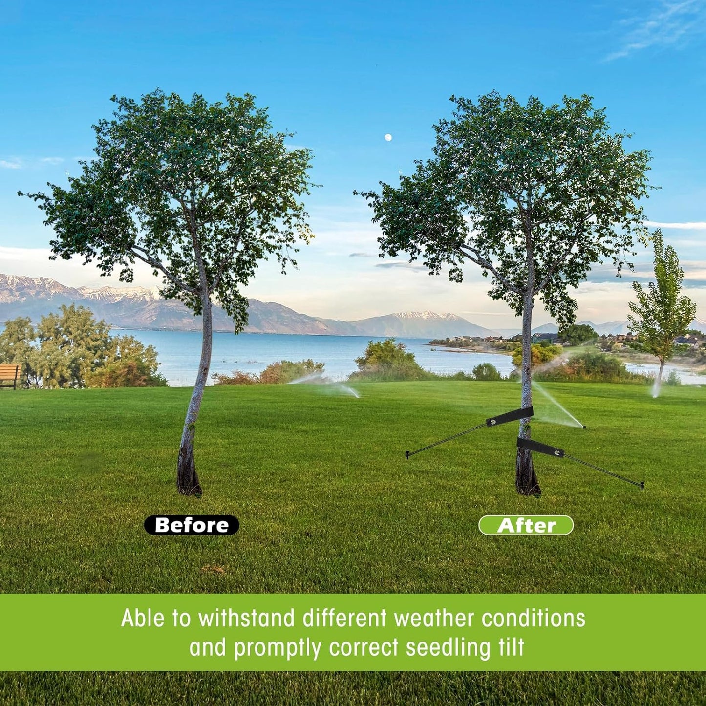 Sintuff 9 Set Heavy Duty Tree Stake Kit 15.75 Inches/ 40 cm Tree Straps for Staking and 13.12 ft/ 4 m Dock Lines Rope for Support Anchoring Home Leaning Plant Straightening Garden Tent (Black)-VerdiqueGarden