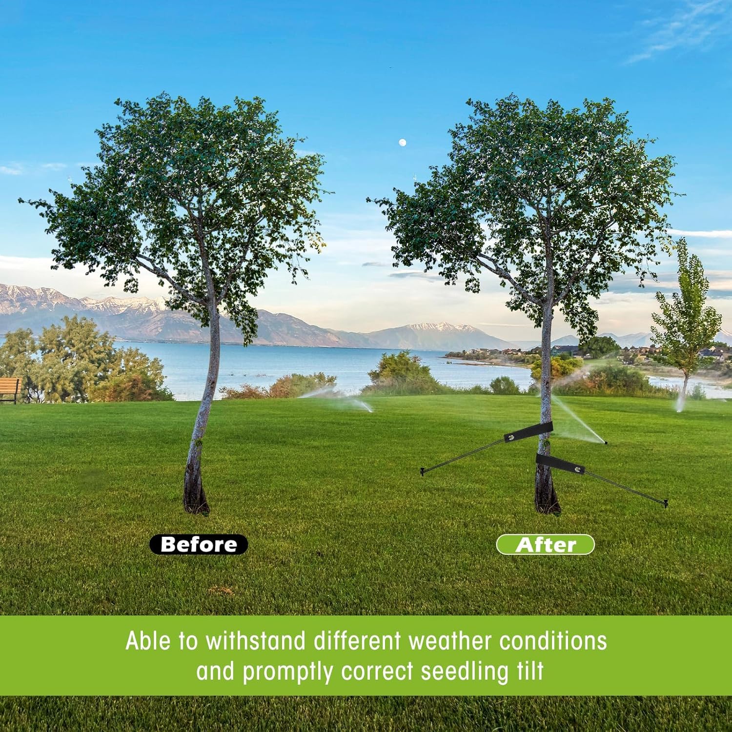 Sintuff 9 Set Heavy Duty Tree Stake Kit 15.75 Inches/ 40 cm Tree Straps for Staking and 13.12 ft/ 4 m Dock Lines Rope for Support Anchoring Home Leaning Plant Straightening Garden Tent (Black)-VerdiqueGarden