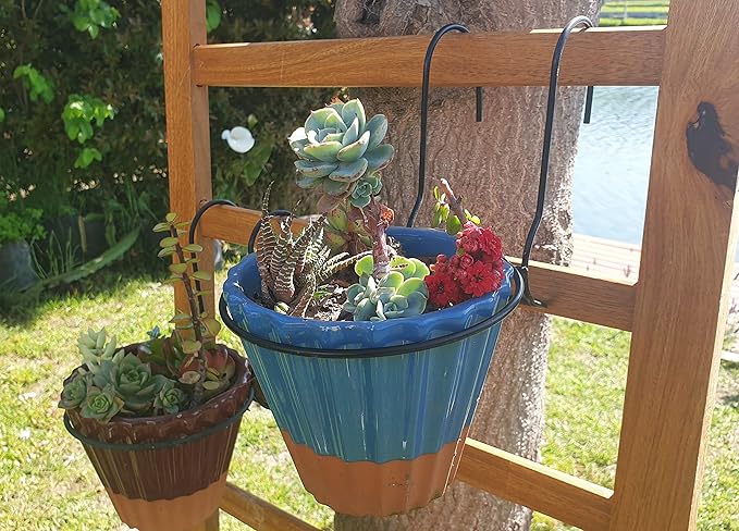 6 Pieces, 8 inches Iron hanging Flower Pot. Metal Plant Wall Hanger, Vertical Yard Garden. Planter Hook Ring, Rail Metal Fence. Indoor and Outdoor. Wire Trellis. Collapsible Bracket. (8 inches)-VerdiqueGarden
