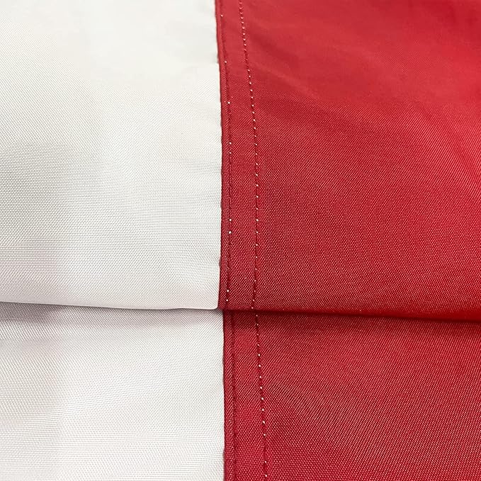 Homissor American Flag 15x25 Ft Large US Flags USA Giant United State Flag Heavy Duty Outdoor Embroidered Stars for All Weather High Wind Sewn Stripes With Brass Grommets-VerdiqueGarden