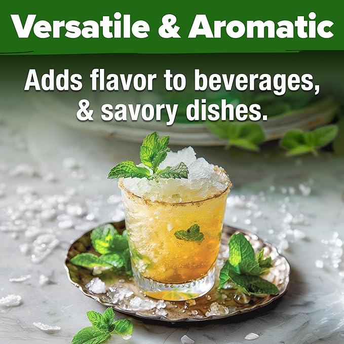 HOME GROWN Premium Common Mint Seeds (Bulk Pack) 3,600 𝗡𝗢𝗡-𝗚𝗠𝗢 𝗨𝗦𝗔 Heirloom Herb Seeds, USA Sourced | Ideal for Planting Outdoors or Indoors for a Fresh Mint Tea Garden (Mentha spp)-VerdiqueGarden