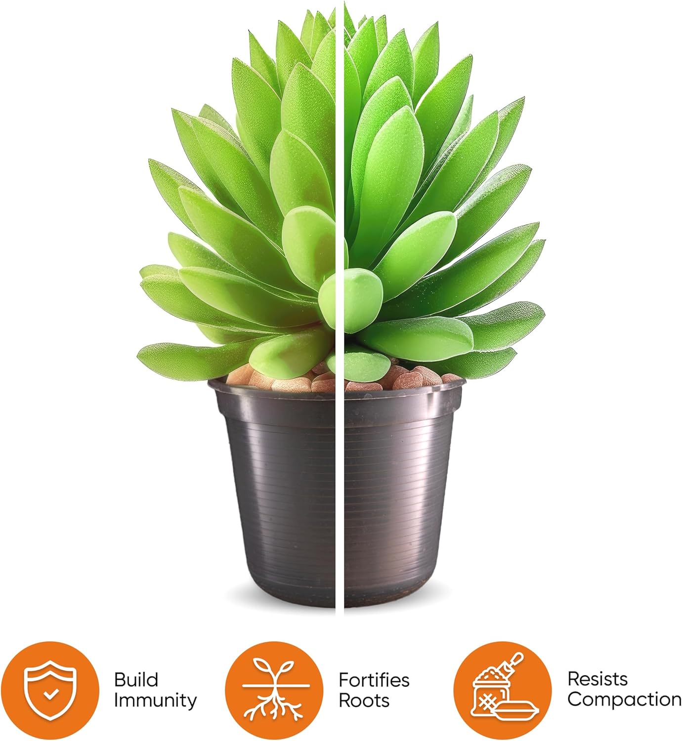 Molly's Succulent Mix - Premium Gritty Soilless Potting Mix for Succulents, Cactus and Bonsai - Contains Akadama, Hyuga, Bark Fines, Pumice, Lava Rock, Mycorrhizae 5 Dry Quarts-VerdiqueGarden