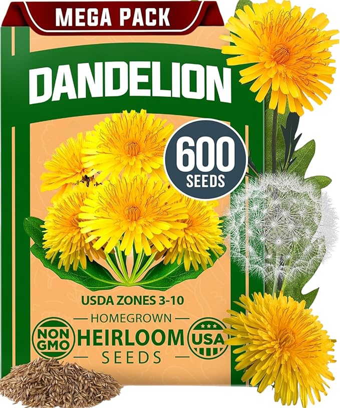 HOME GROWN 𝗨𝗦𝗔 𝗣𝗥𝗘𝗠𝗜𝗨𝗠 Dandelion Seeds for Planting – 600 Heirloom Medicinal Herb Seeds (~0.3g) 𝗡𝗢𝗡-𝗚𝗠𝗢 Grow Edible Leaves and Flowers for Remedies or Wildlife (Taraxacum officinale)-VerdiqueGarden