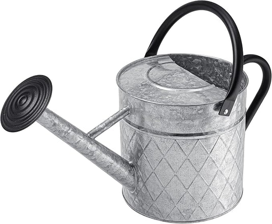 1.75 Gallon Outdoor Galvanized Metal Watering Can for Garden Plants, Vintage Zinc Watering Can with Removable Spray Spout, Ideal for Outdoor Use (Silver)-VerdiqueGarden