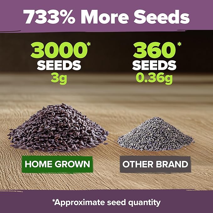 HOME GROWN 𝗨𝗦𝗔 𝗣𝗥𝗘𝗠𝗜𝗨𝗠 English Lavender Seeds 2 Pack 3000 𝗡𝗢𝗡-𝗚𝗠𝗢 Wildflower Seed, for Planting Indoor Outdoor High Germination Flower Seeds (Lavandula antustifolia)-VerdiqueGarden