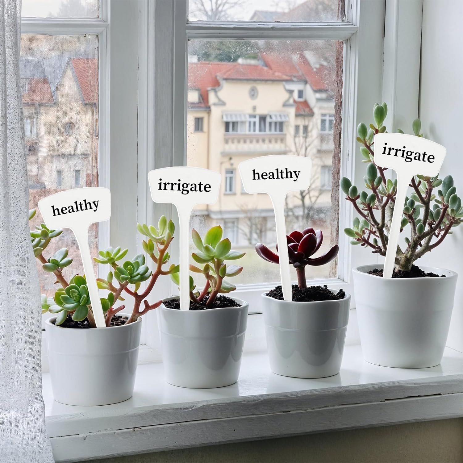 100 Pcs Plant Labels,T-Type 10.63inch Large Plastic Plant Tags Waterproof Plant Makers Nursery Garden Labels for Outdoor Indoor Plants Herbs Flowers Vegetable Potted Belt Marker Pen (White)-VerdiqueGarden